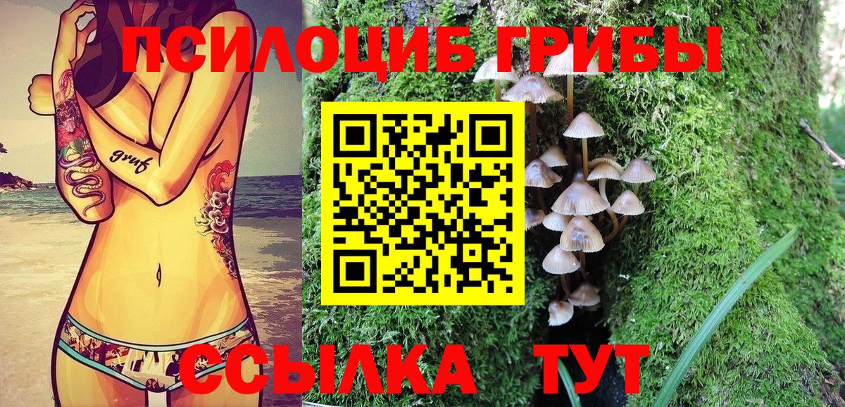 Кохма  Псилоцибиновые грибы прущие грибы  Вход с VPN 