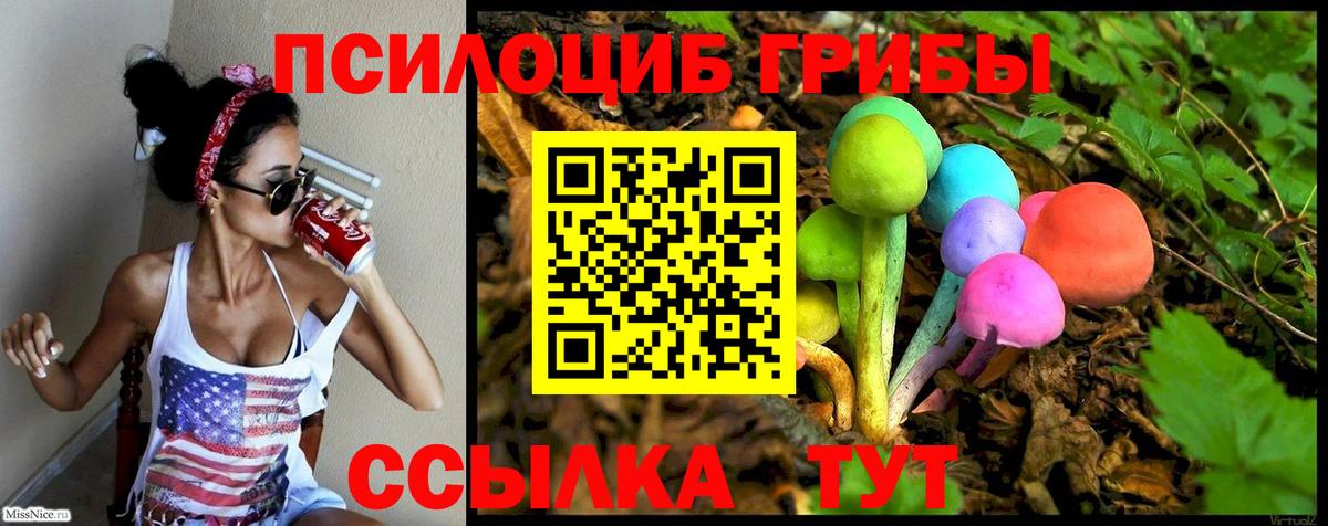 Псилоцибиновые грибы GOLDEN TEACHER Кохма